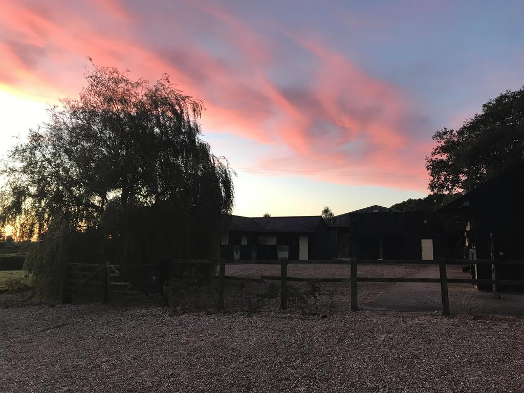 Pleck Barn B&B Ansty  Esterno foto